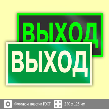 Знак E22 «Указатель выхода» (фотолюминесцентный пластик ГОСТ 34428-2018, 250х125 мм)